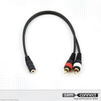 3.5mm mini Jack naar 2x RCA kabel, 0.3m, f/m